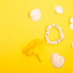 Reddybook Review: How This Innovative Platform Enhances Learning & Connects with 11xplay